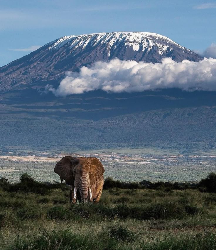Amboseli National Park